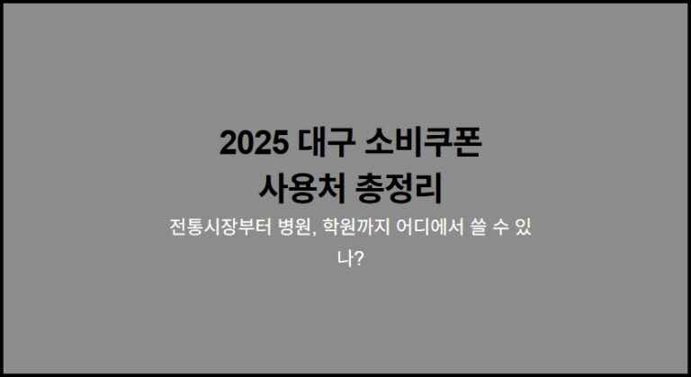 대구 소비쿠폰 사용처