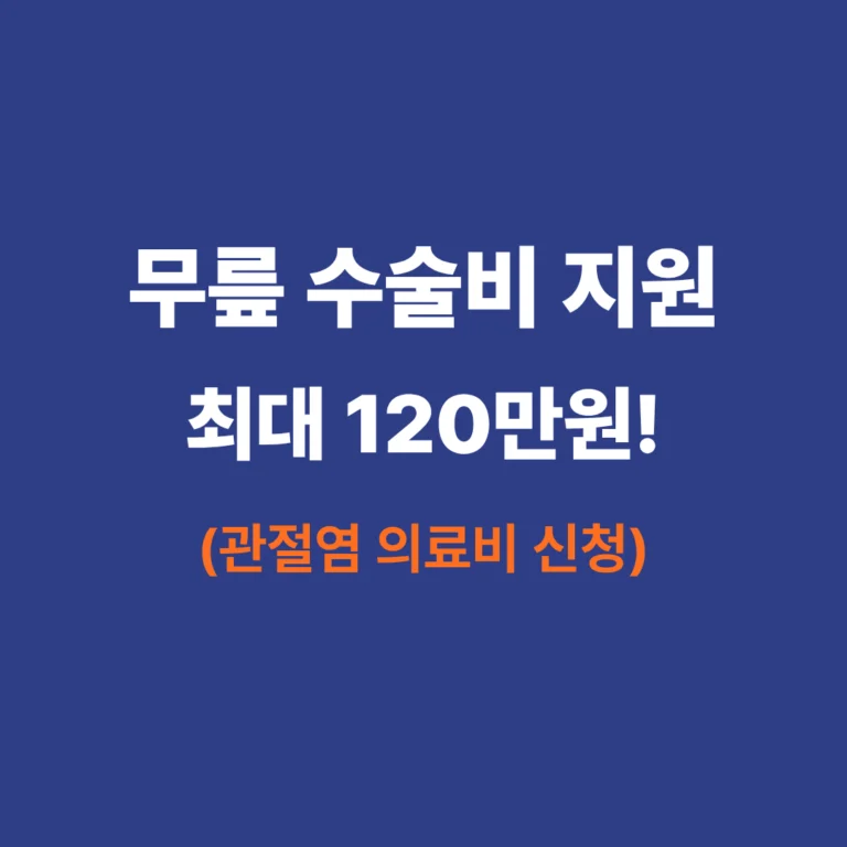 2025년 노인 관절염 의료비 및 무릎 인공관절 수술비 지원 안내 썸네일