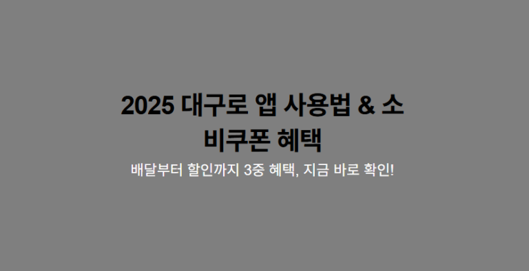 2025 대구로 앱