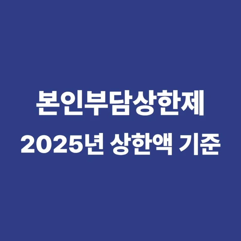 본인부담상한제 2025년 상한액 기준표
