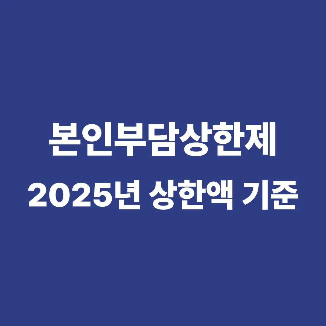 본인부담상한제 2025년 상한액 기준표
