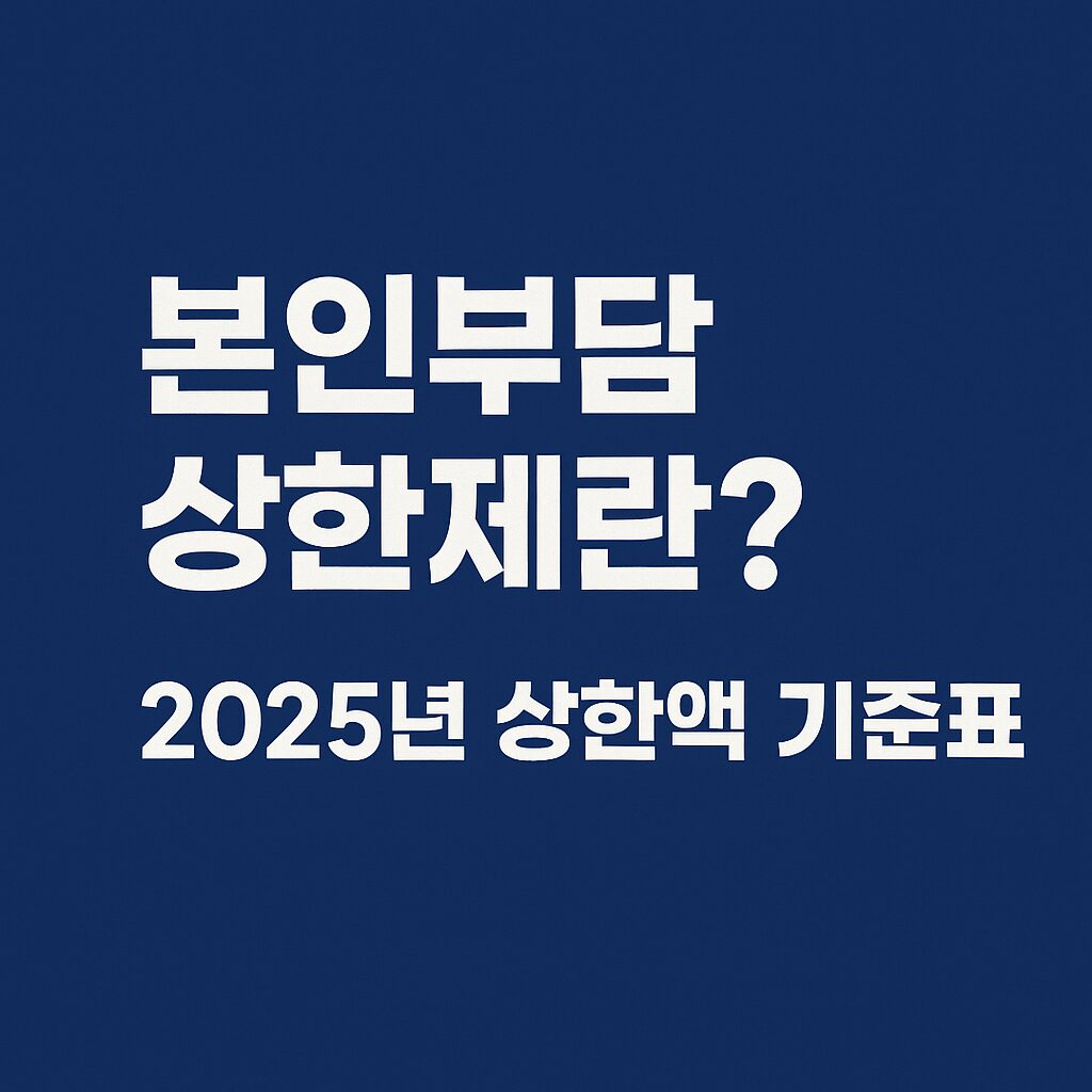 본인부담상한제란