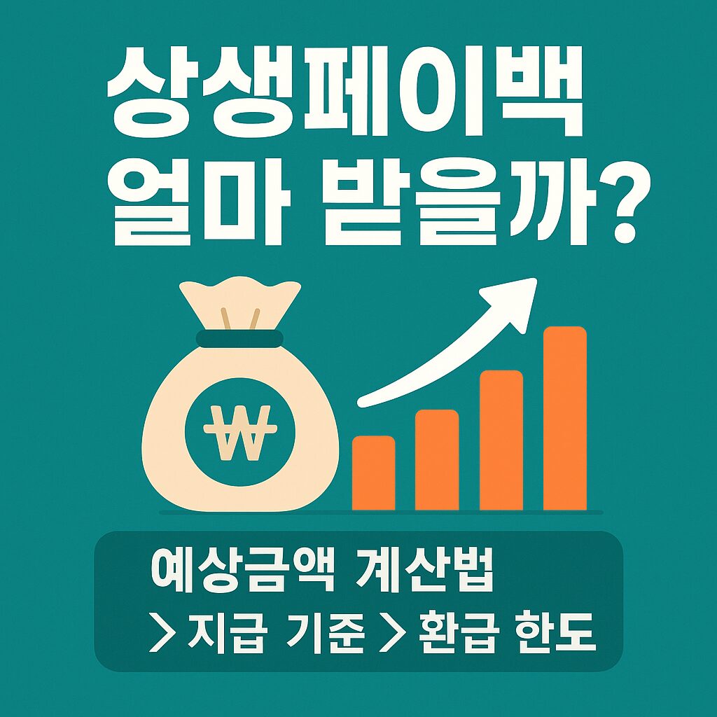 상생페이백 예상금액