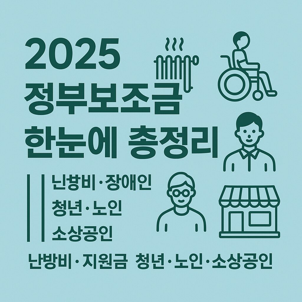 2025 정부보조금