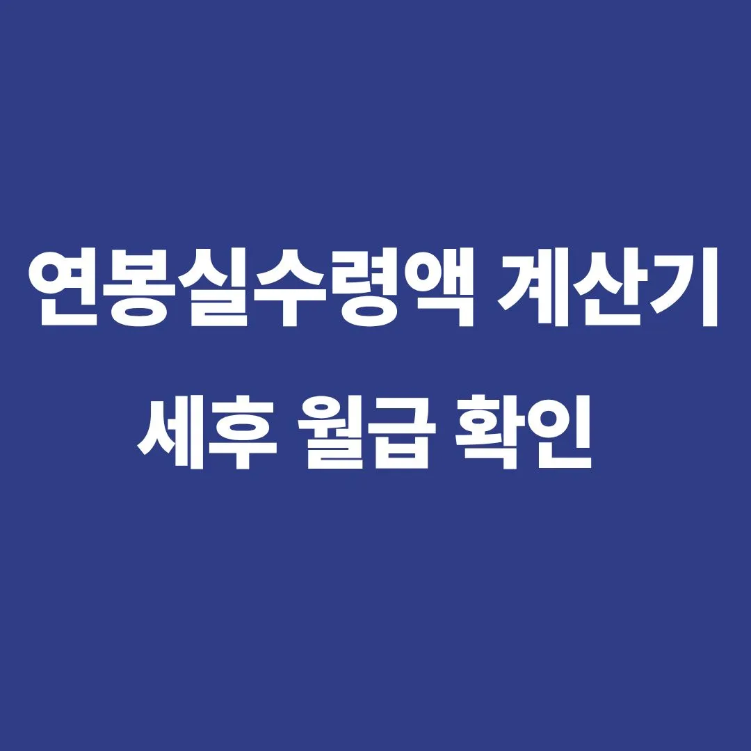 연봉 실수령액 계산기